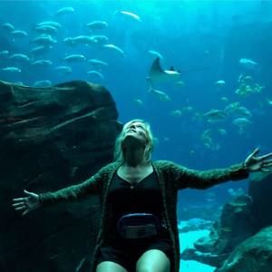 Meet your Posher, Monica